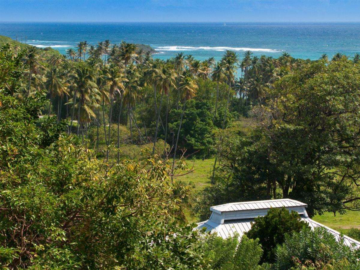 Firefly Estate Bequia Hotel Crescent Beach Buitenkant foto