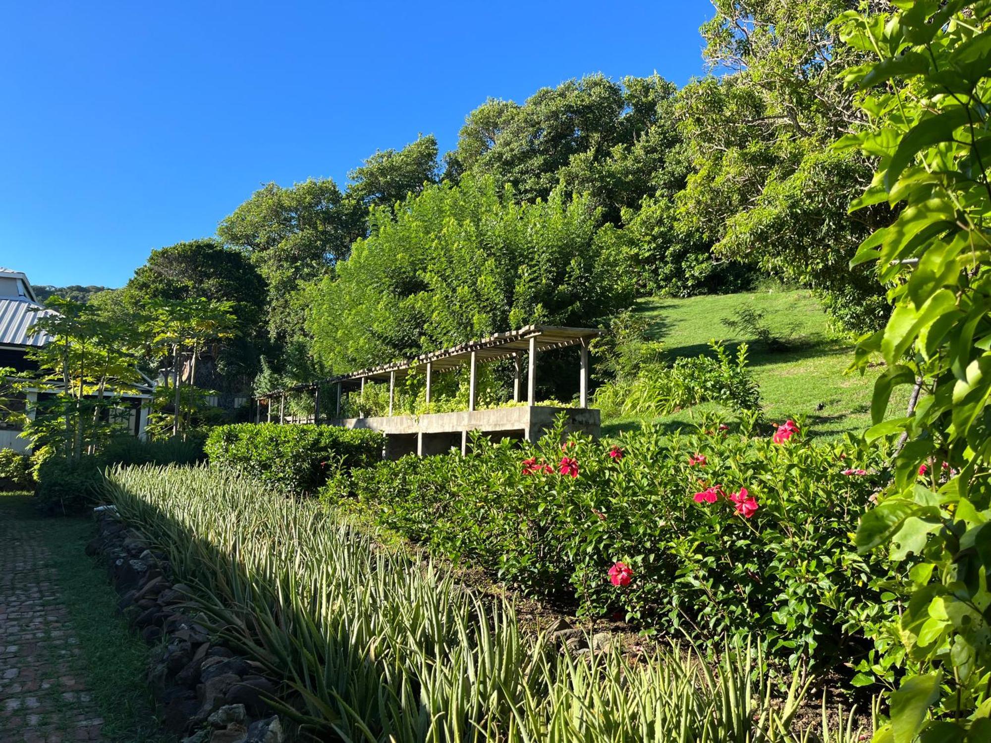 Firefly Estate Bequia Hotel Crescent Beach Buitenkant foto