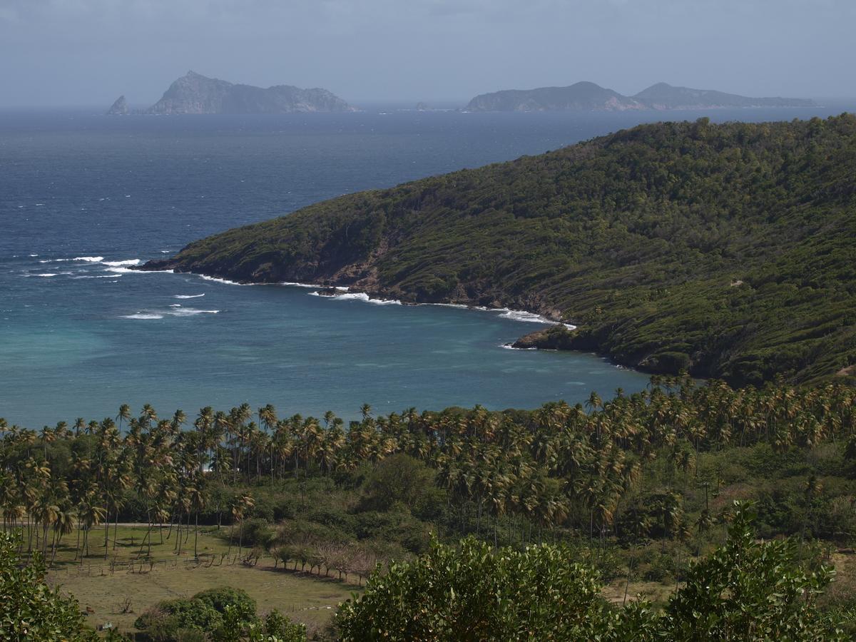 Firefly Estate Bequia Hotel Crescent Beach Buitenkant foto