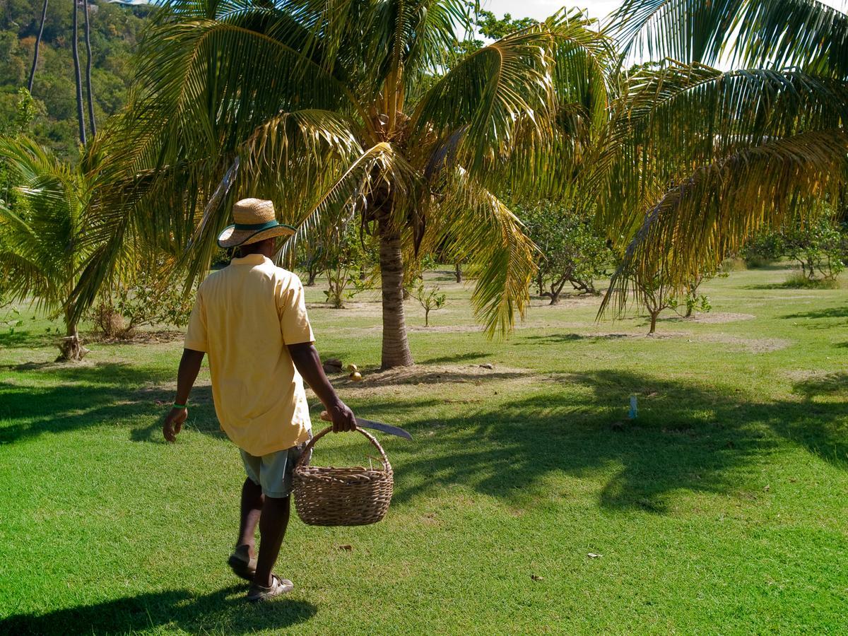 Firefly Estate Bequia Hotel Crescent Beach Buitenkant foto