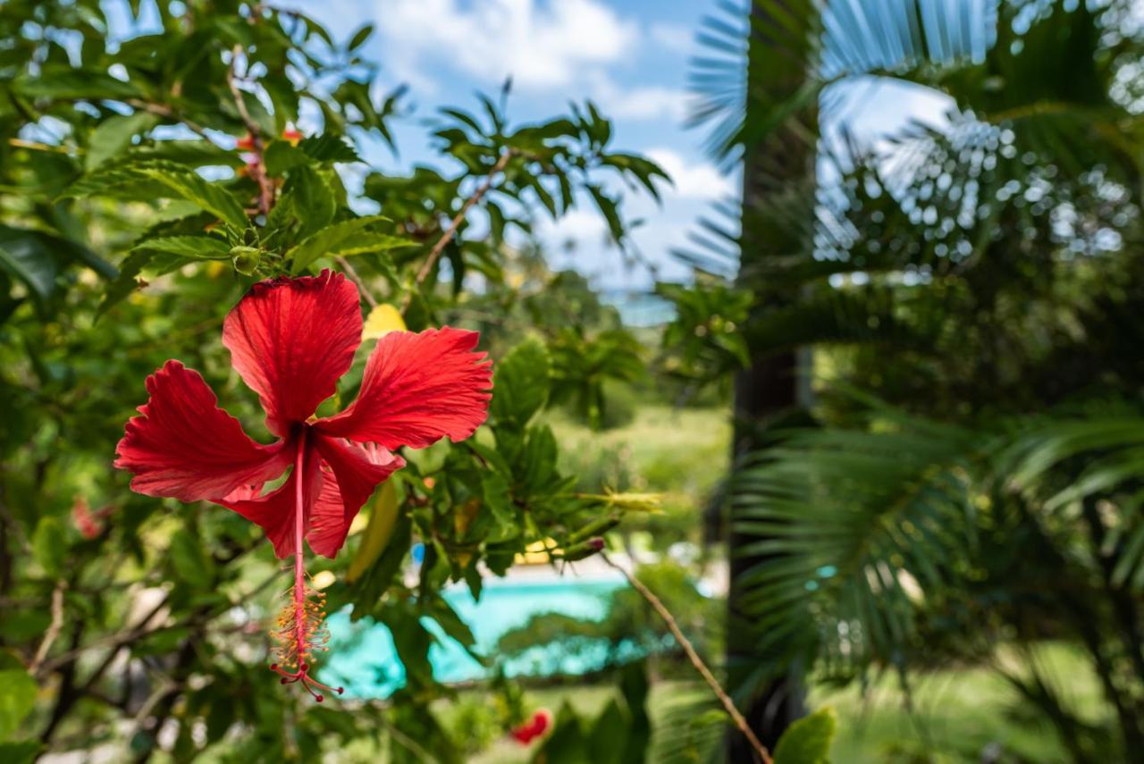 Firefly Estate Bequia Hotel Crescent Beach Buitenkant foto