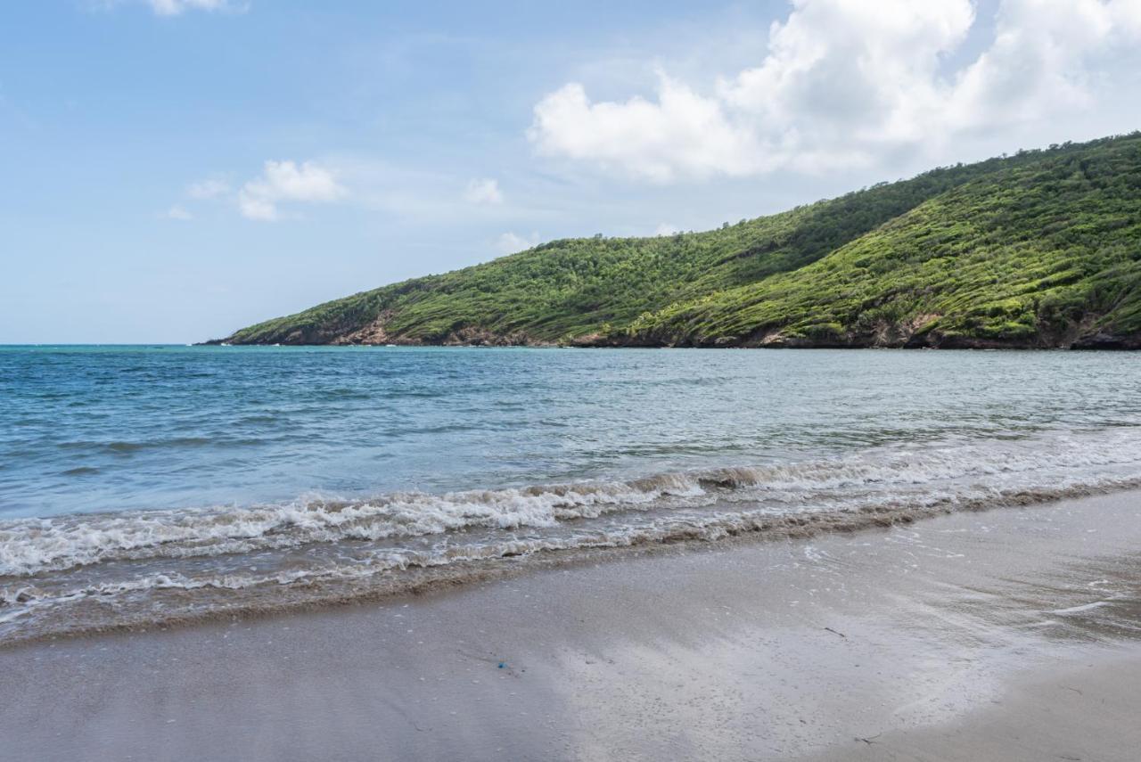Firefly Estate Bequia Hotel Crescent Beach Buitenkant foto