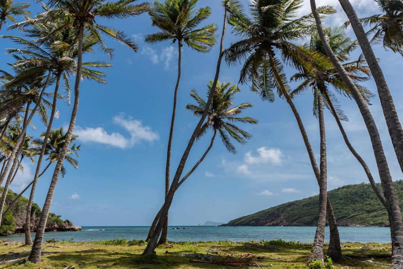 Firefly Estate Bequia Hotel Crescent Beach Buitenkant foto